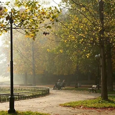 Borisova Garden Skyline By Cosher