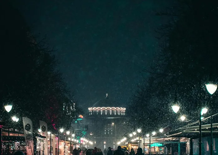 Borisova Garden Skyline By Cosher * ソフィア